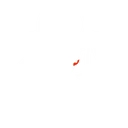 G2 Esports