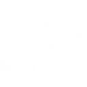 Team Secret Whales